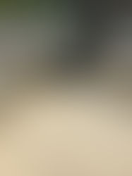 多度大社@三重県桑名市