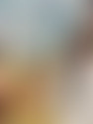 『弱さの研究―弱さで読み解くコロナの時代―』向谷地生良,高橋源一郎, 辻信一(著)(くんぷる、2020/11/16)