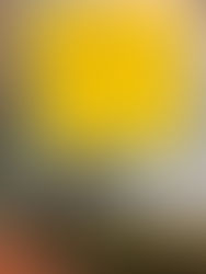 秋田市文化創造館と法政大学大学院の入試問題と