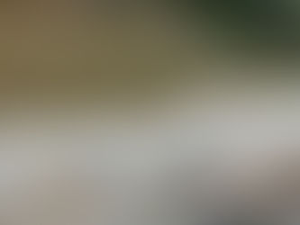 Day3　山水館　川湯みどりや　自然とひとつに