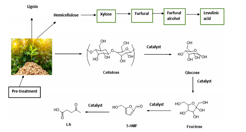 Sugarcane bagasse to levulinic acid production