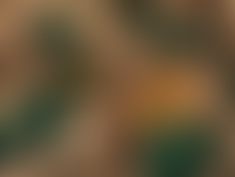 Biomass Valorization: Transforming Sustainable Solutions for Businesses