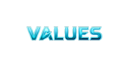 VALUES.png