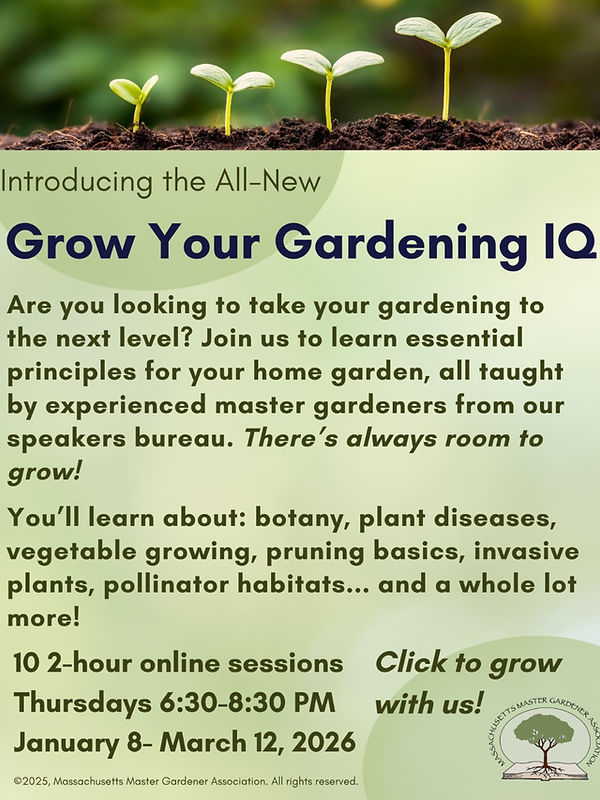 MMGA New Program for 2026.jpeg