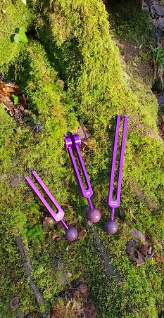 Tuning Forks