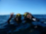 Scuba Divers OK