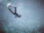 Snorkel Freediving