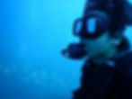 Scuba look
