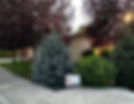 exterior-two.jpg