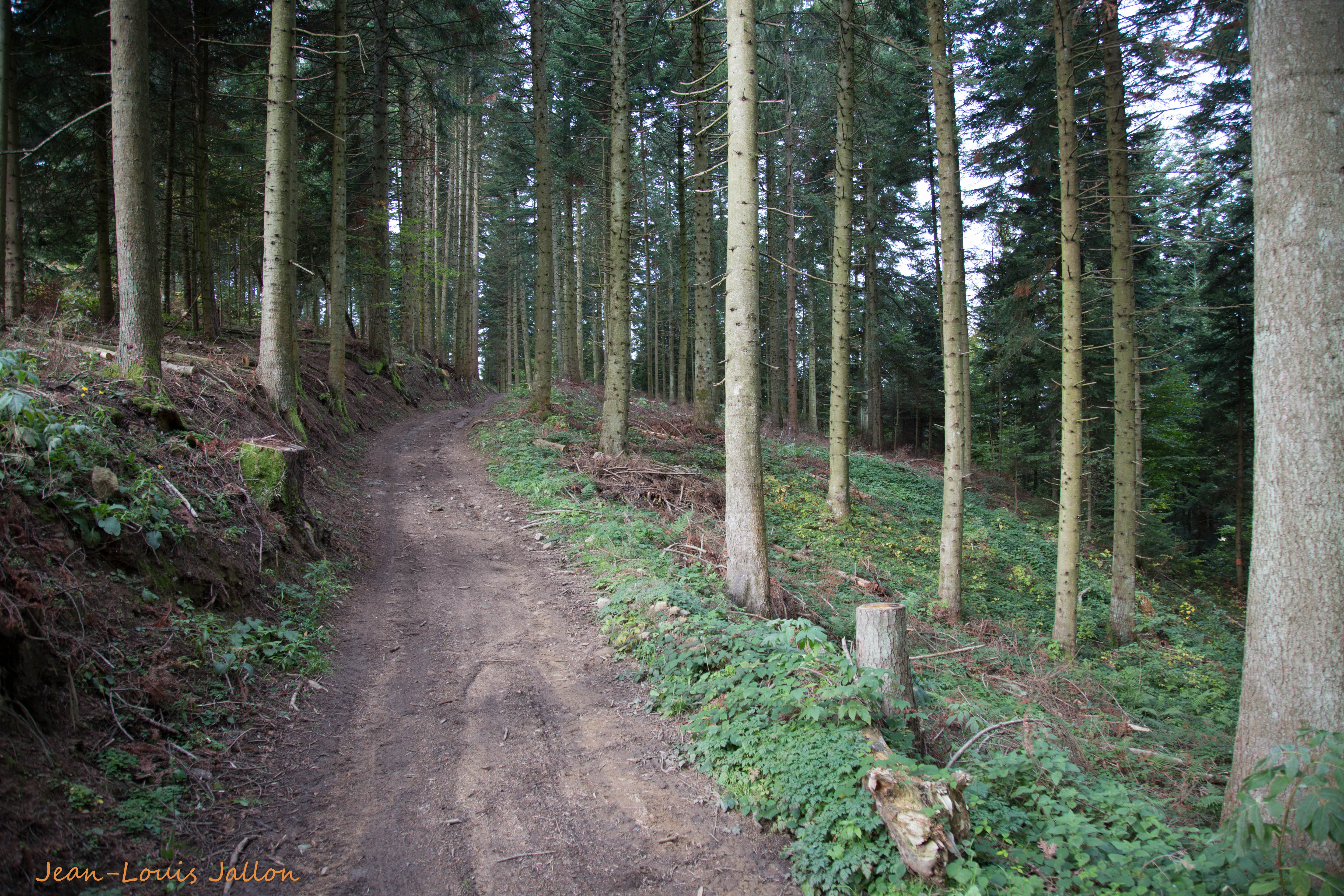 sur un chemin baliséPR