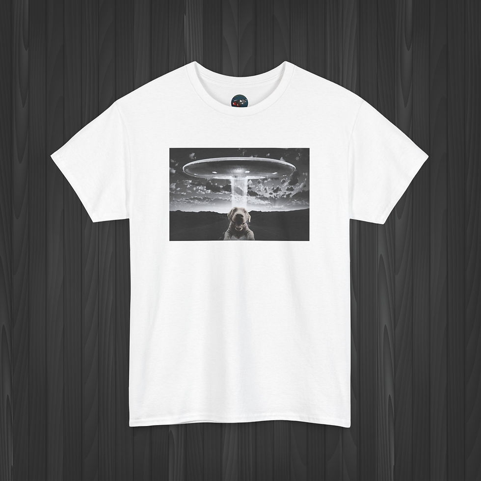White colored Area 51 UFO Shirt with Close Encounters flying saucer design — Healey Threads Alien Graphic Tee
