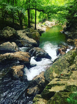 @ Yalova / Erikli Plateau