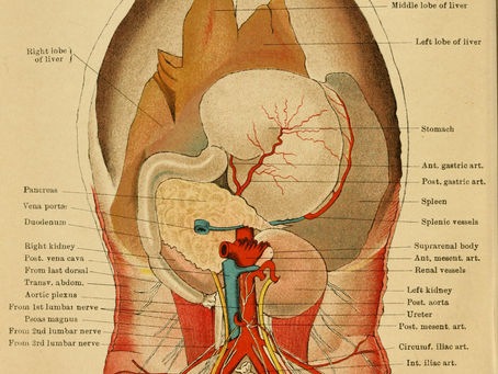 Stomach ulcers