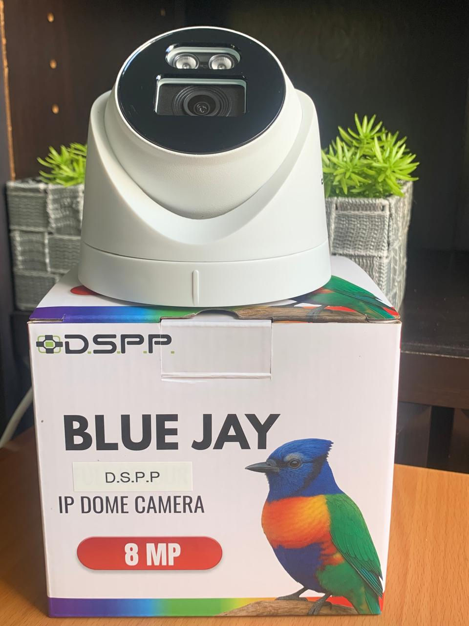 Thumbnail: DS-BLUJ-IPD-V2: 8MP IP DOME (NOT FULL COLOUR)
