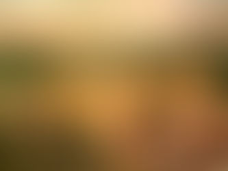 Perspective and the Oregon Trail