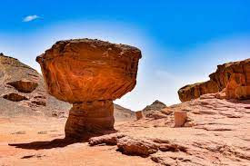 Parsha-Inspired Menus - Vayishlach