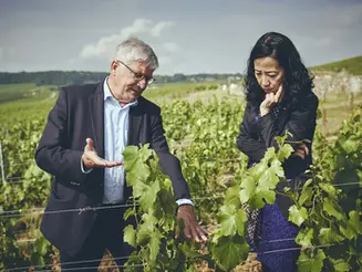 Ryoko Sekiguchi : "Le vin me rappelle sans cesse notre fragilité"