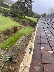 Gutter cleaning