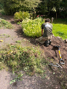 Garden clearance