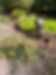 Garden clearance