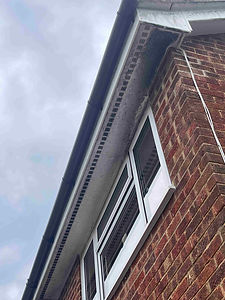 Soffit & fascia cleaning