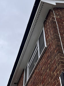 Soffit & fascia cleaning