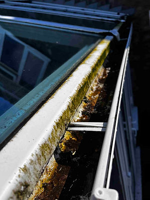 Soffit & fascia cleaning