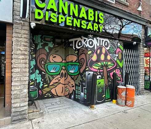 photo_2025-11-18 22.56.37.jpeg