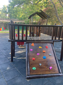 IMG_1517.jpeg