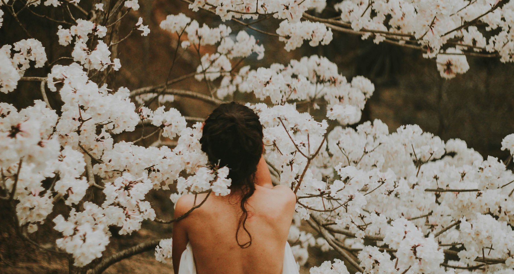 Body and Wellness