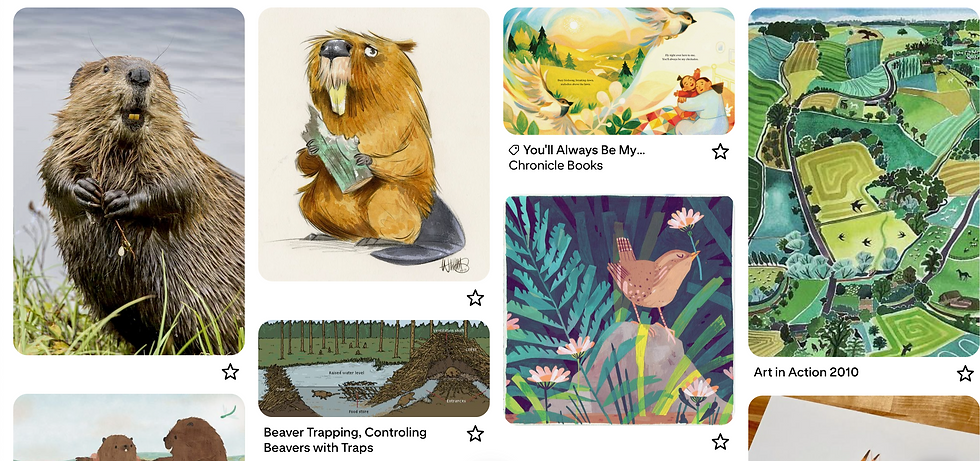 Alex Mauss Design moodboard for a children's book about beaver.