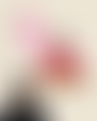 27歲停經兩個多月,中藥如何改善?(By王愷喬醫師)