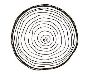 Tree Ring Woodcut - Douglas Fir