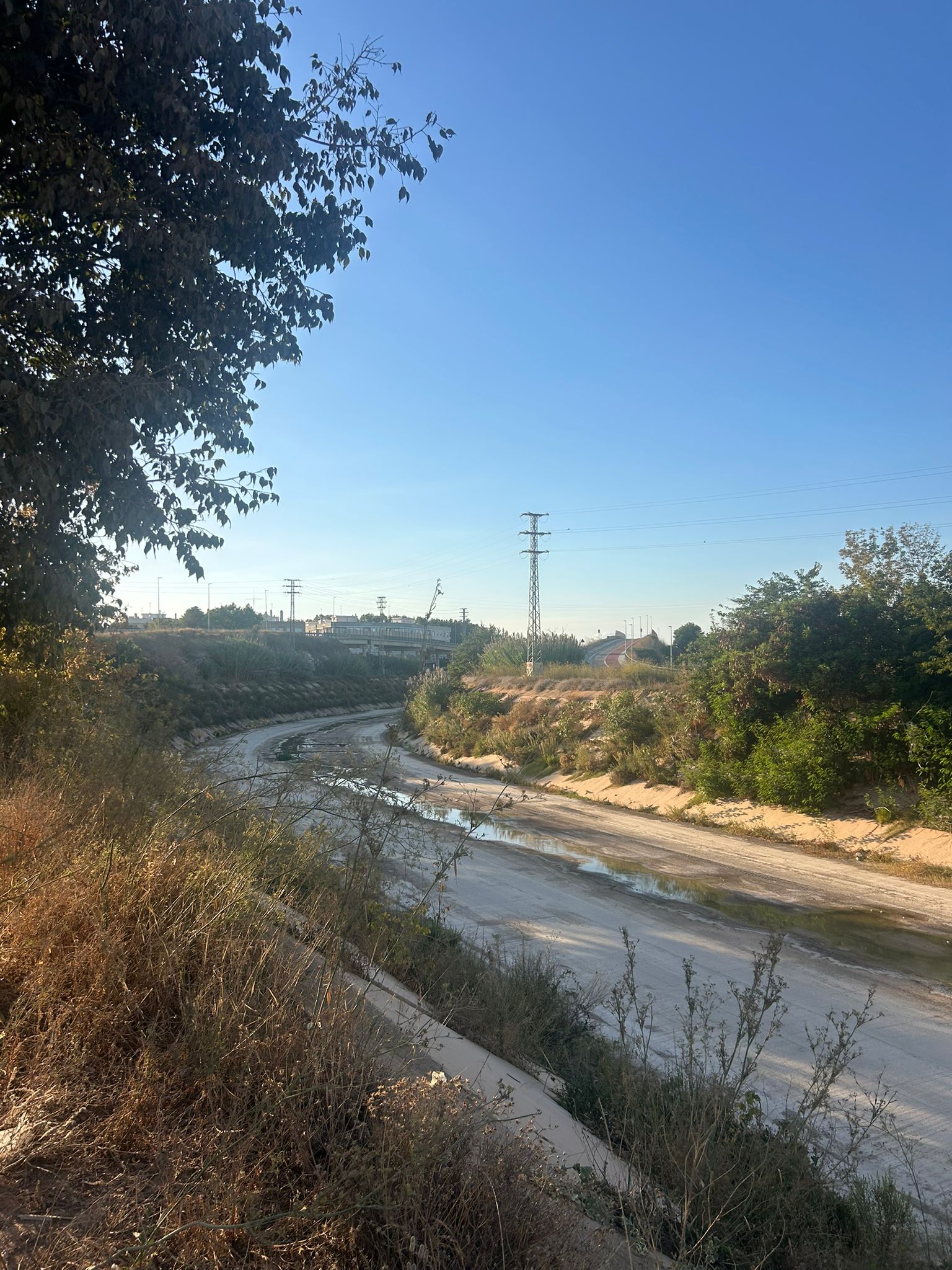 a placeholder image.