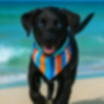 Thumbnail: Beach Daze
