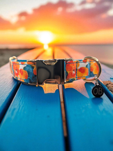 Aloha Spirit | Ozona Blu