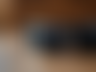 Choosing Durable Dog Accessories for Your Active Pup