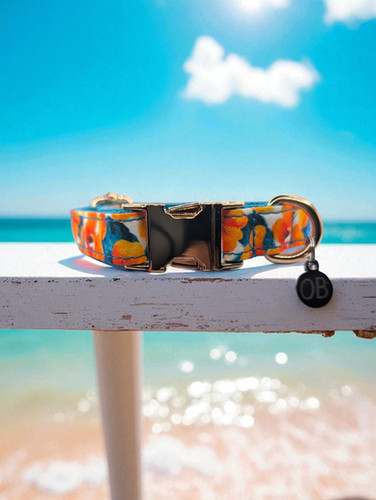Aloha Spirit | Ozona Blu