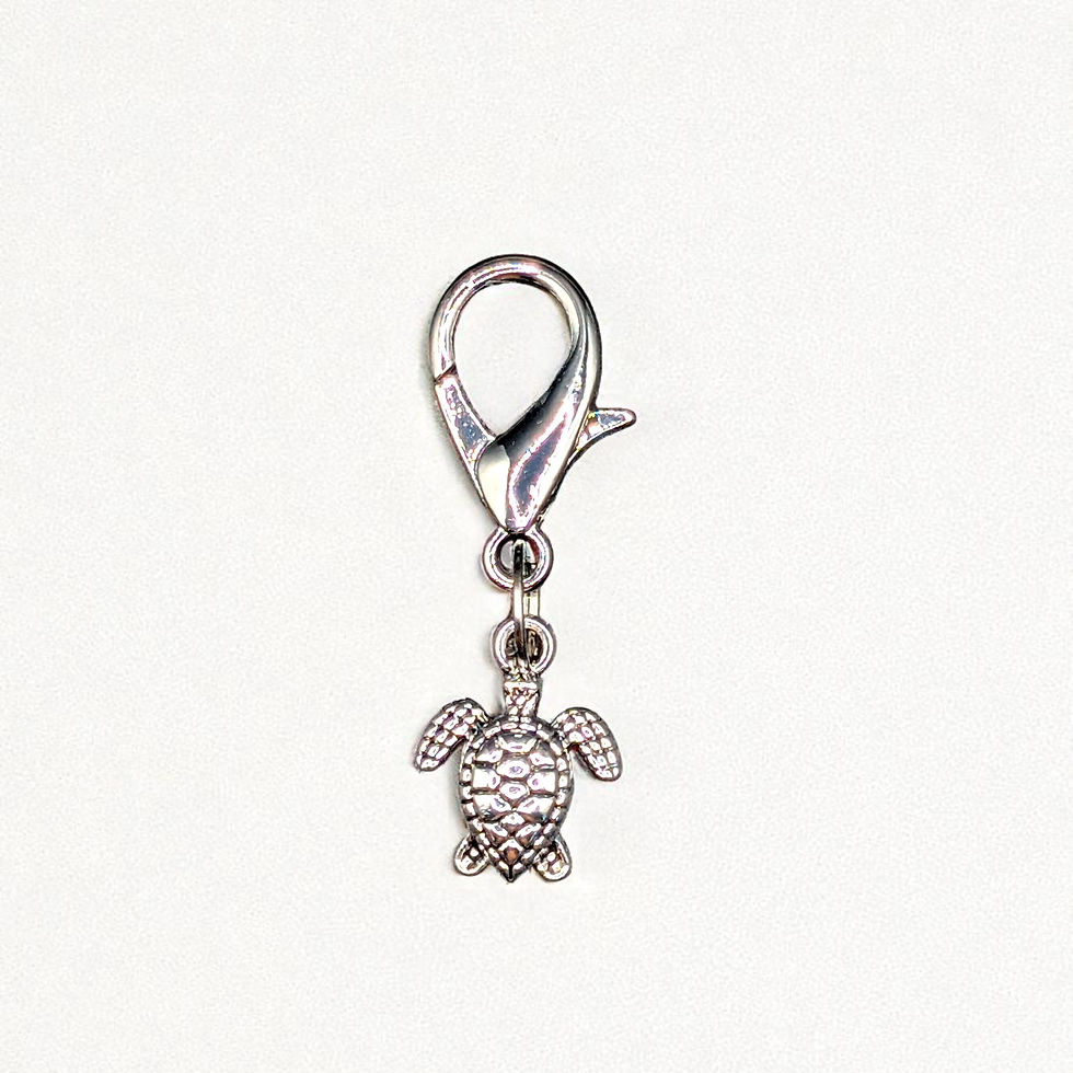 Thumbnail: Sea Turtle