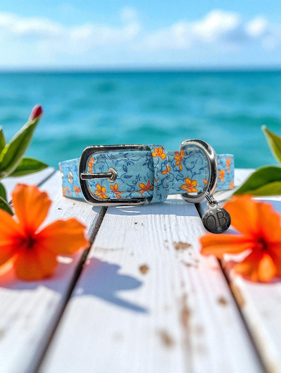 Thumbnail: Coastal Hibiscus