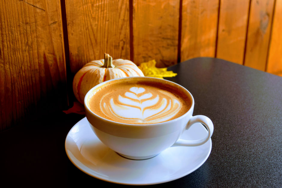 Coffee Shops & Companionship