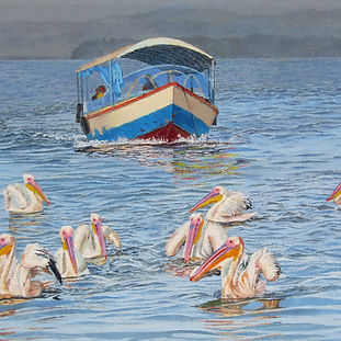 Boat and Pelicans on Tranquil Water