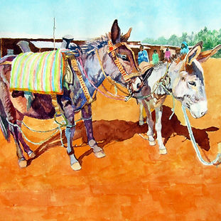 Mule and Donkey