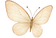 butterfly.png