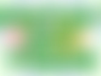 New Cycle Starts for MONTHLY ART TRADE (M.A.T.)