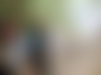 Environmental Education: The holistic point of view