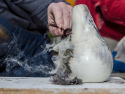carbonización con plumas