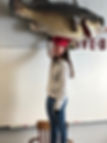 IMG_0109.JPEG