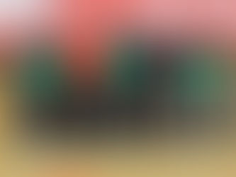 PIASECZNO SZKOLIŁO NA ŚLĄSKU