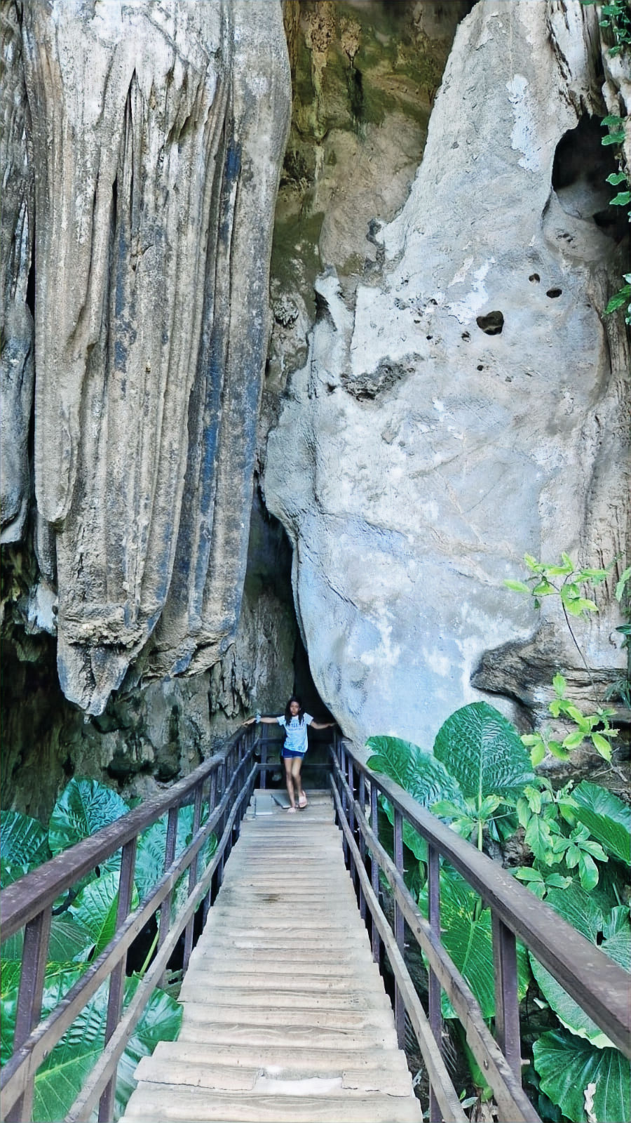6d6beaa3-6188-42dc-b775-7536bc59f21f_edited.jpg